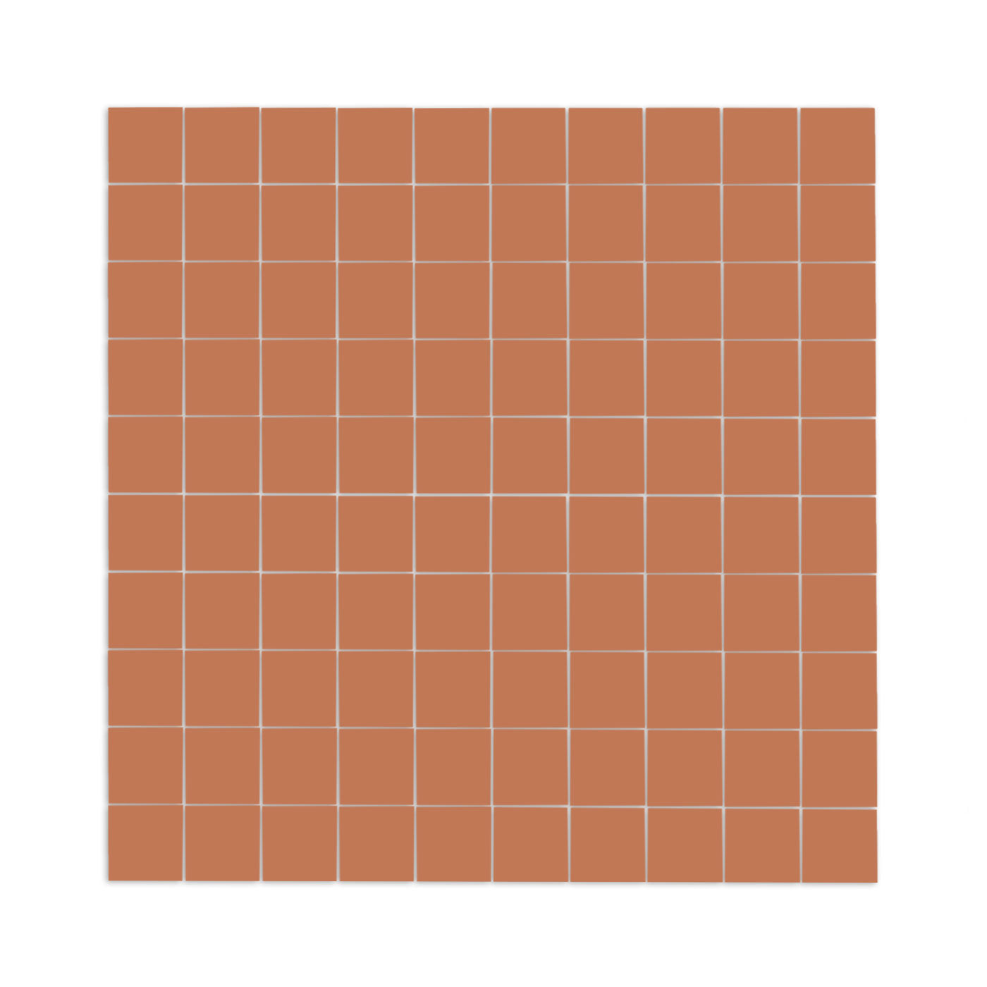 Dolores Dust Meshed 1x1