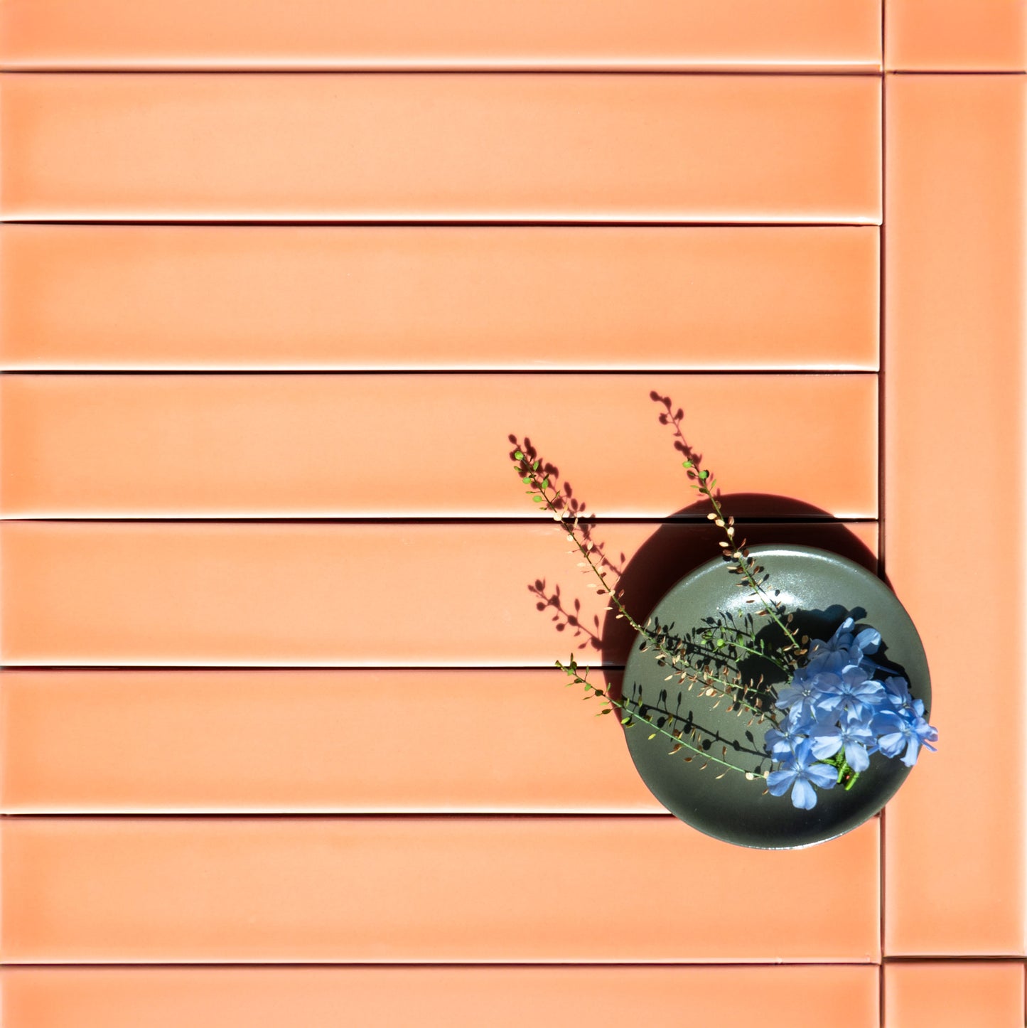 Wildflower Gloss 2x12