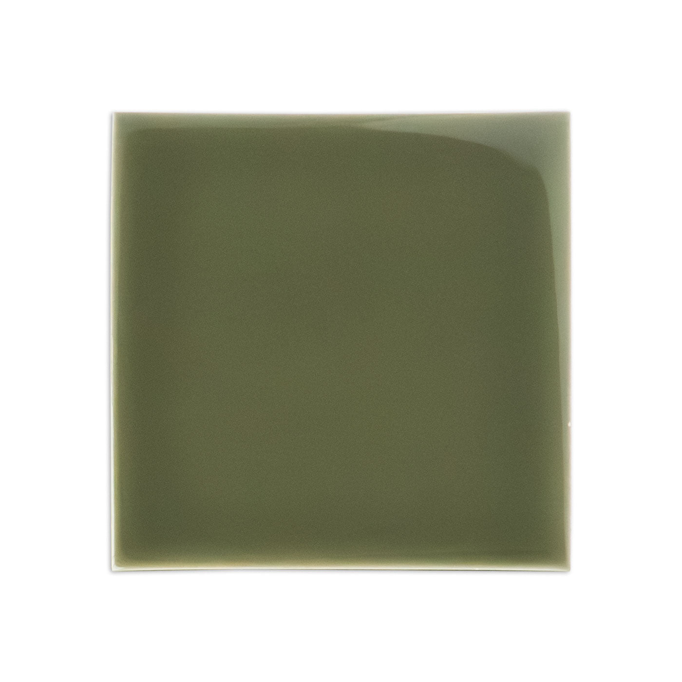 Olive green glossy solid tile by Clay Imports, square with slightly rounded edges.