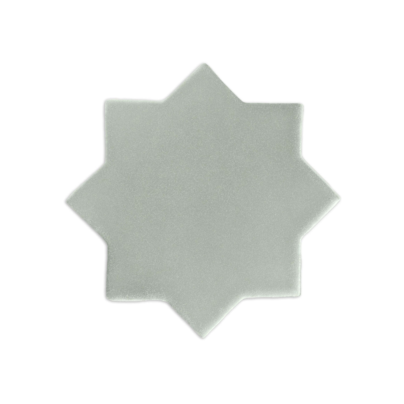 Stem & Flora Agave 4