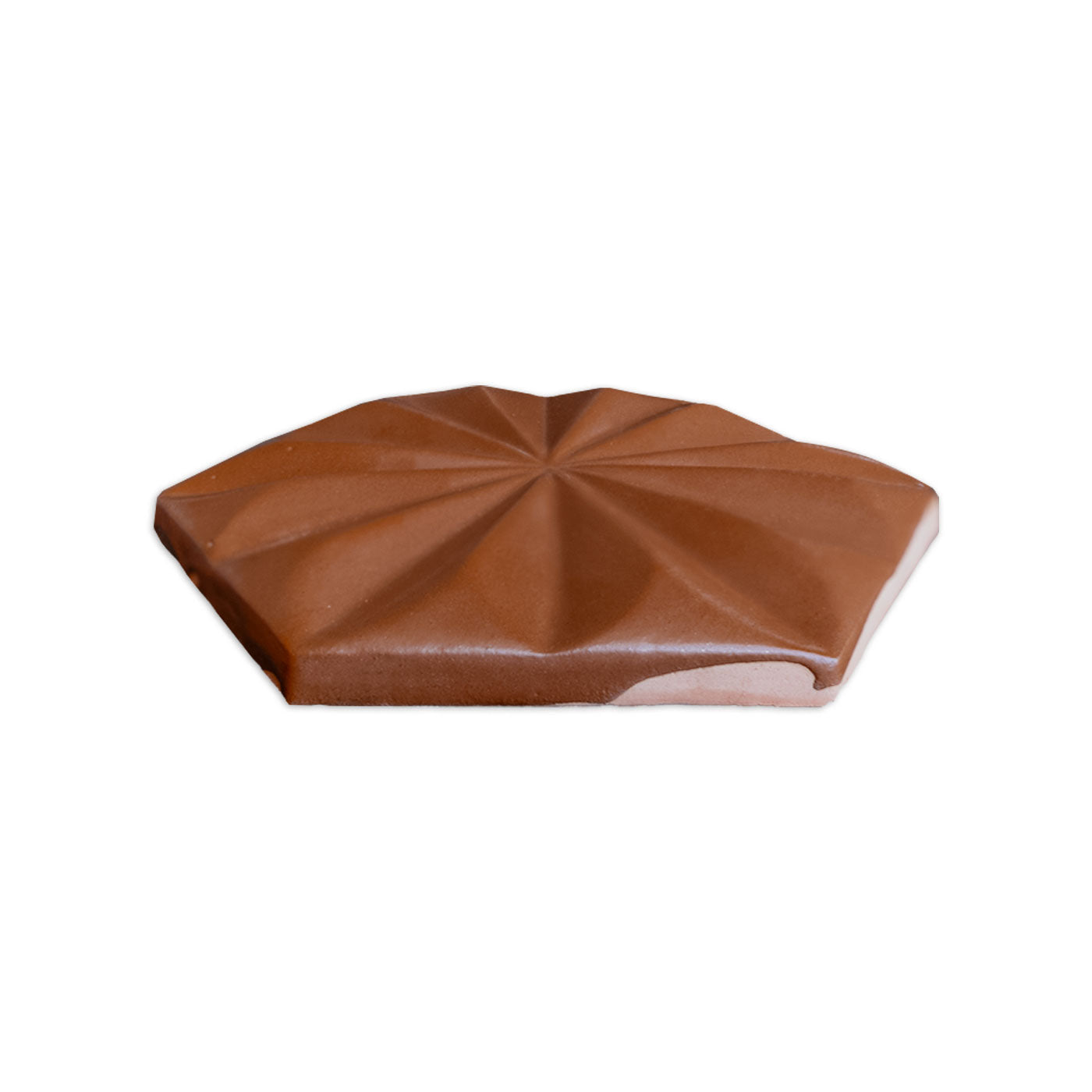 Cacao brown solid tile by Clay Imports, hexagonal with a raised geometric starburst pattern and lighter unglazed edges.