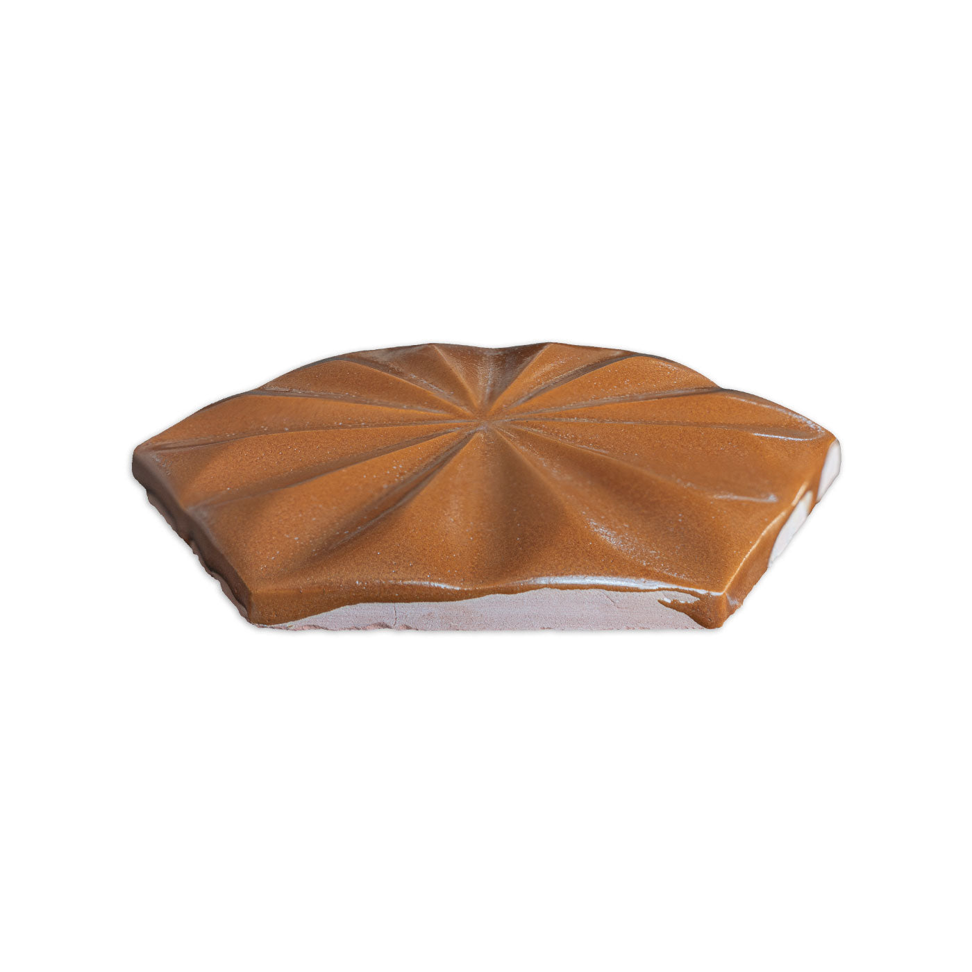 Cajeta brown solid tile by Clay Imports with a glossy, embossed radial pattern, shown from an angle.