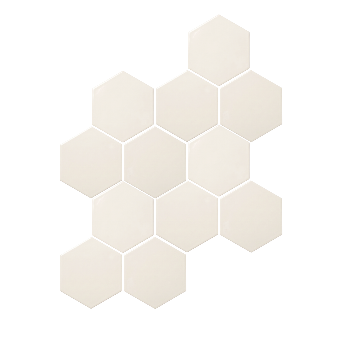 Fossil Hexagon 6