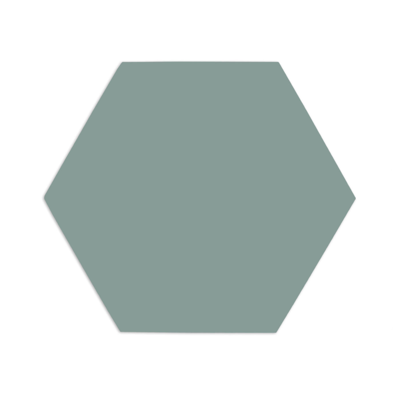 Hexagon Agave 8