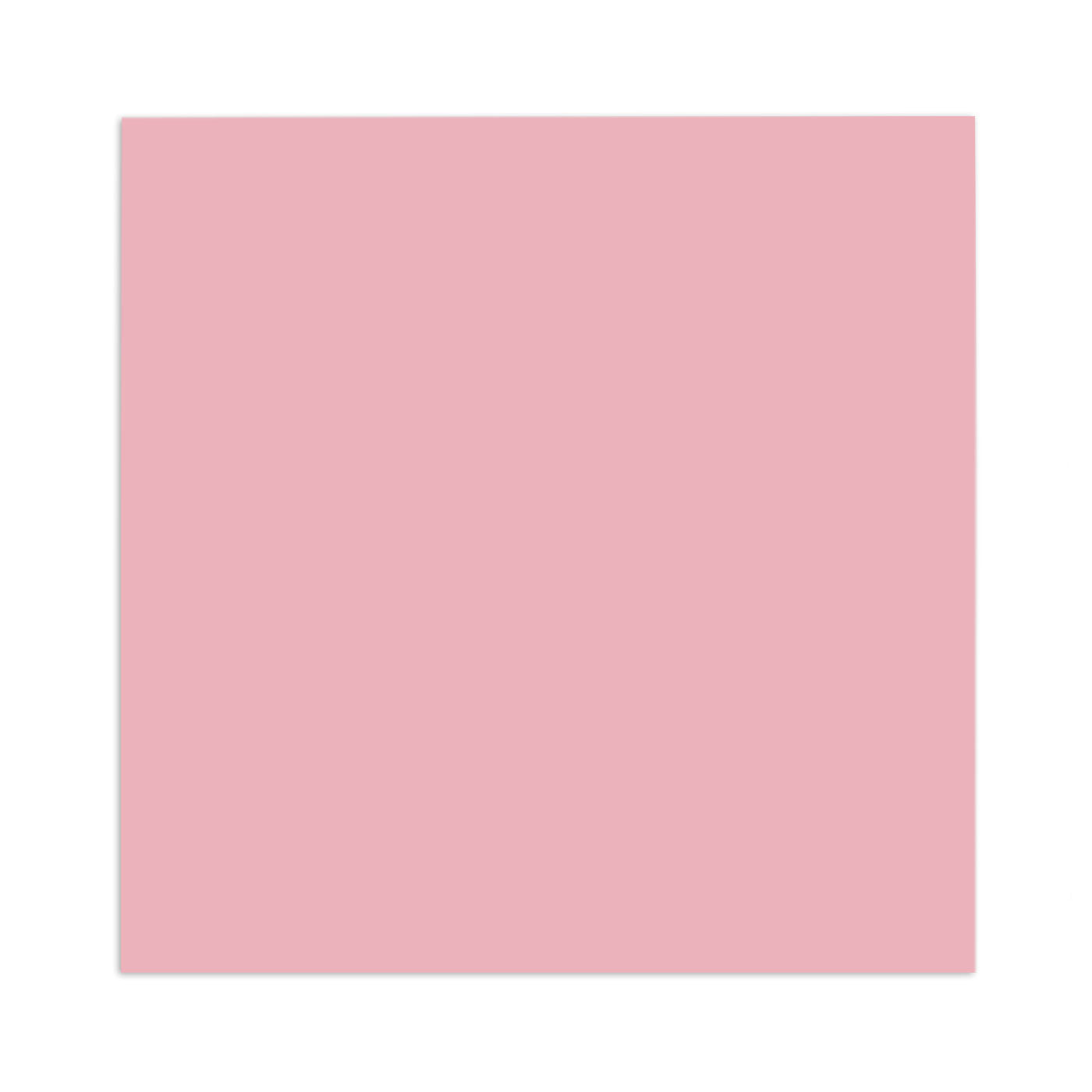 Pink Guava 8x8