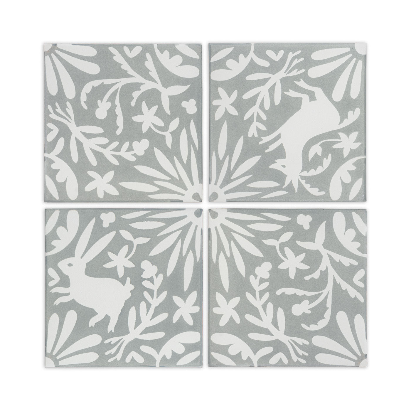 Jardín de Luna Herbs Agave 8x8