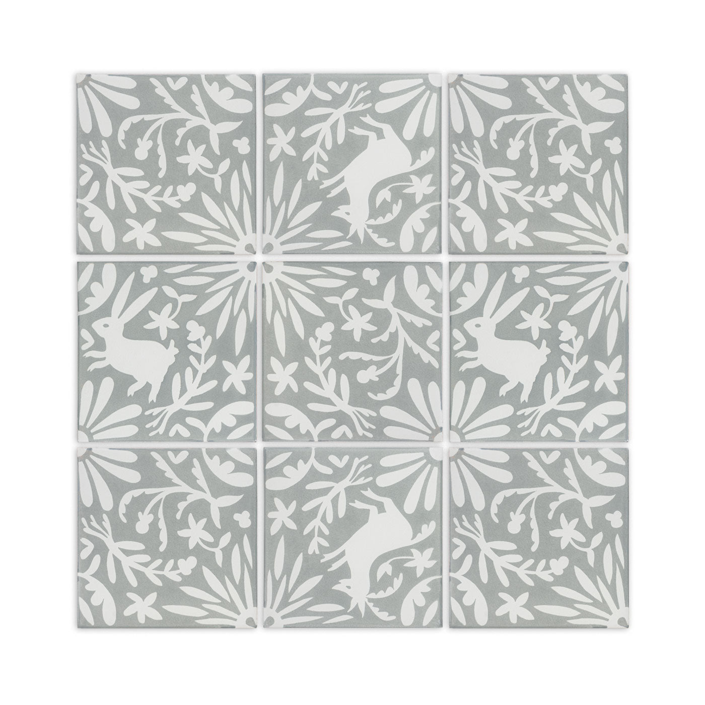 Jardín de Luna Deer Agave 8x8