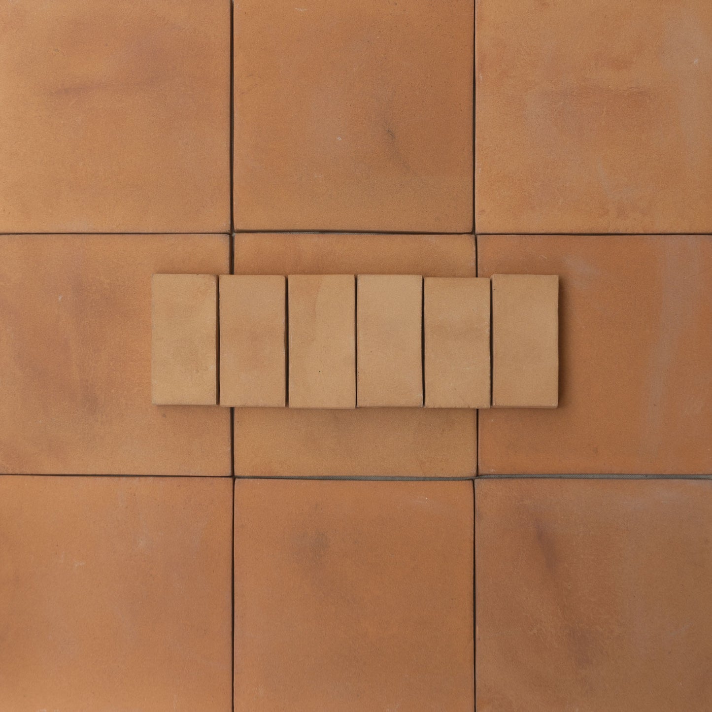 Cotto Sienna Color Sample