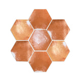 Hexagon Smooth Gloss 6"