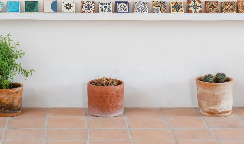 Oaxaca Etched Terracotta Planters