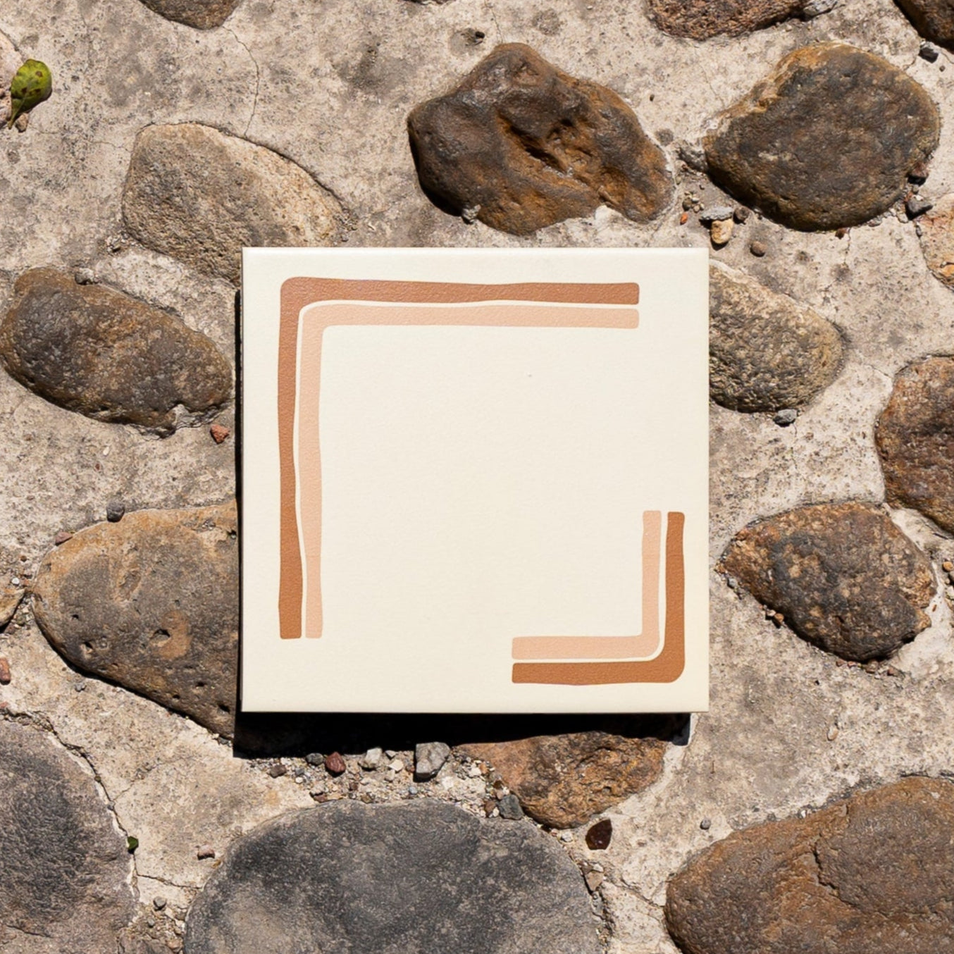 Cubed Champagne Paprika 8x8