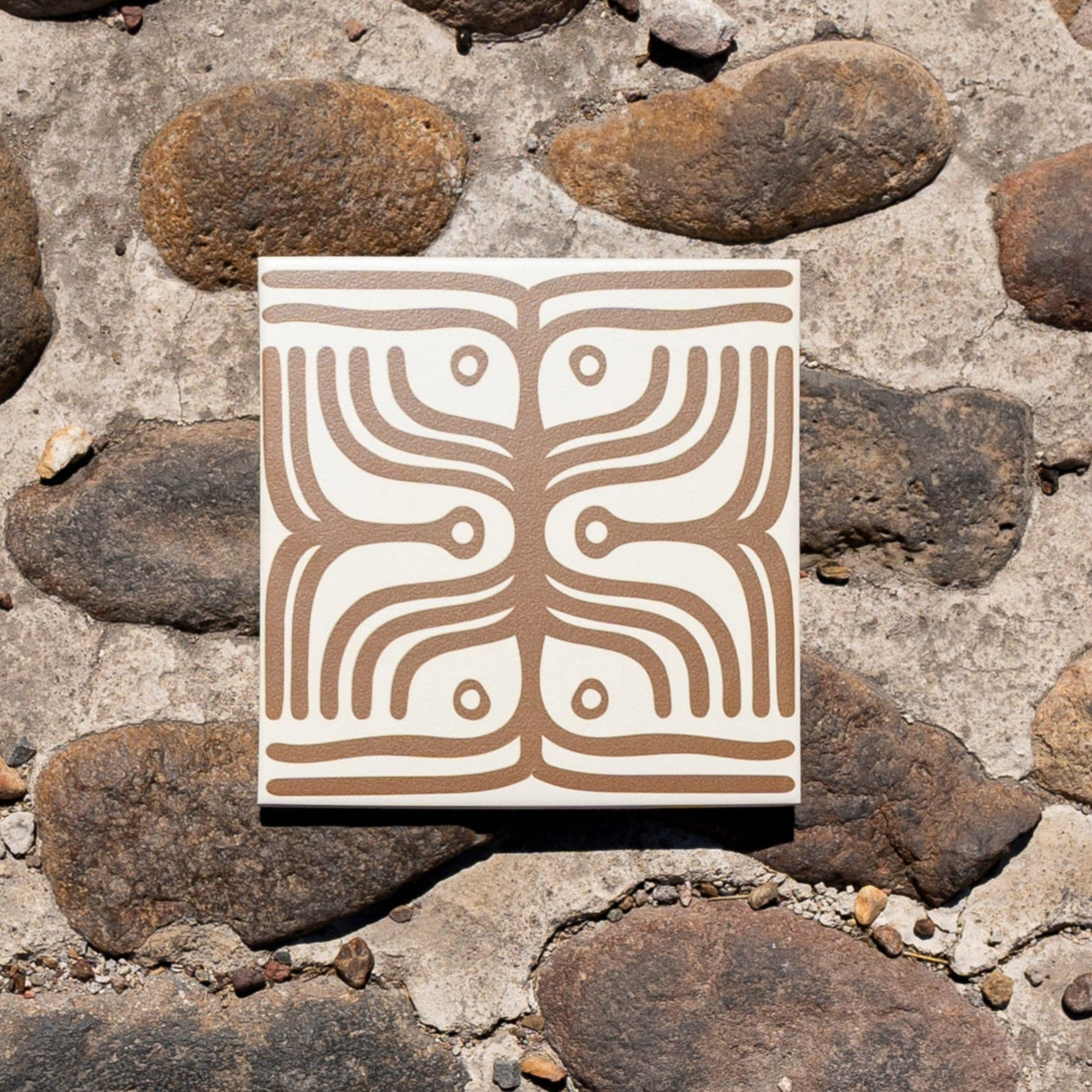 Badi Vocho Tepache 8x8