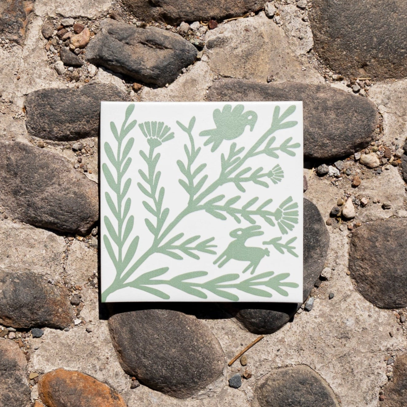 Encanto White Jalapeño 8x8