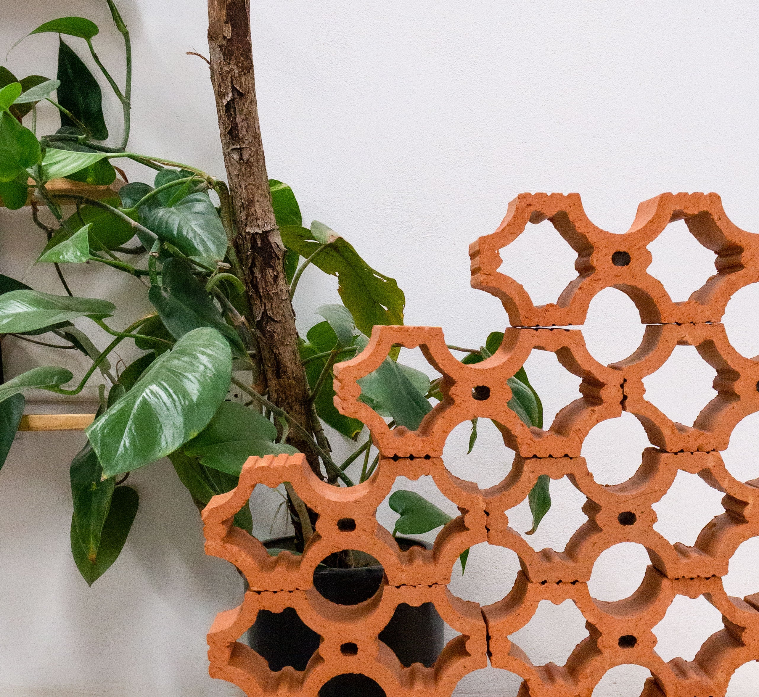 Terracotta Breeze Block Clásico Clay Imports Online Store