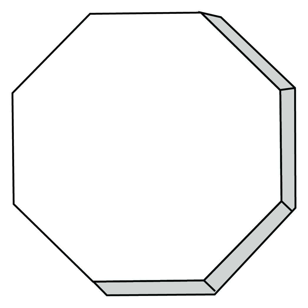 Octagon 12