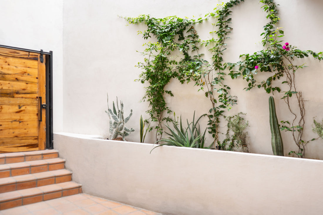 Mexican courtyard with terracotta tile floor clay imports