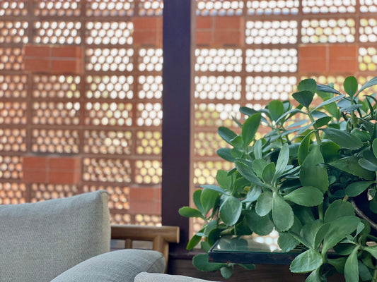 An inviting interior with a leafy plant and sofa, showcasing a terracotta breeze block wall designed for passive cooling.