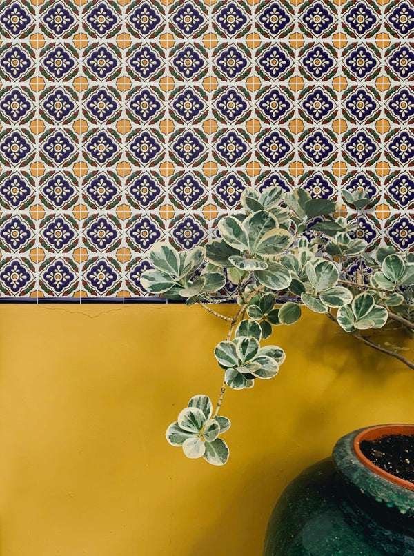 Potted plant with talavera tile and yellow wall in background clay imports