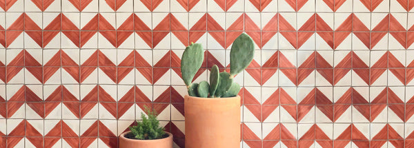 Terracotta pot with Cactus in front of Pattern Tile Clay Imports