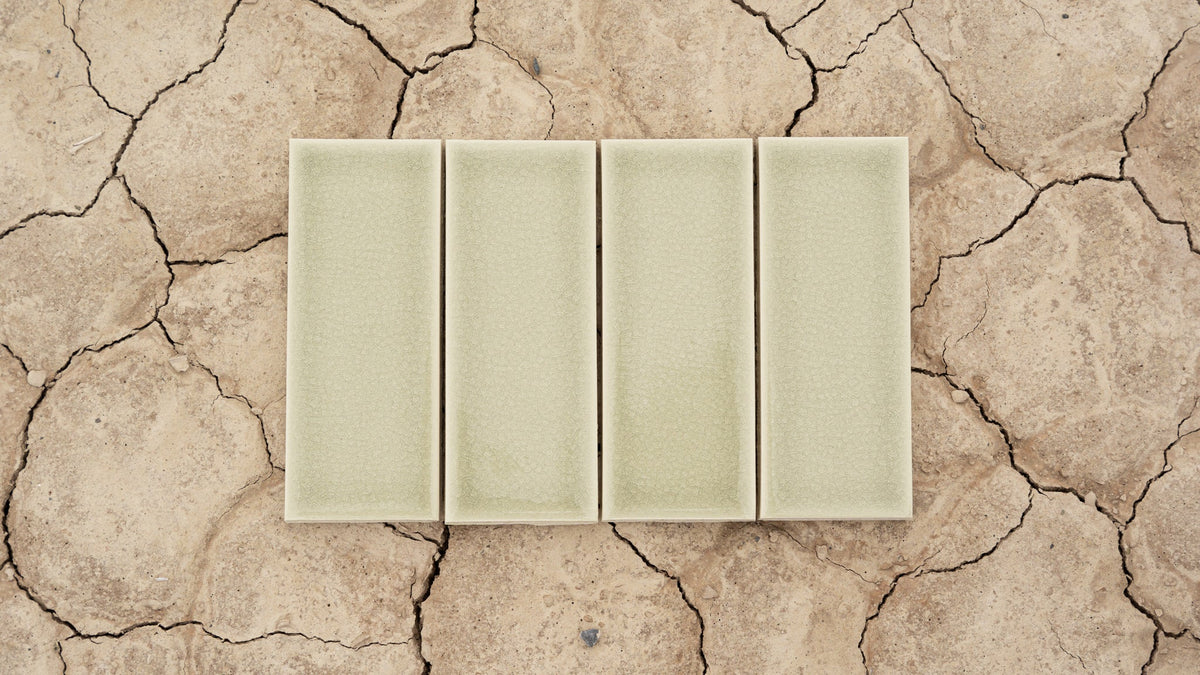 Yucca Crackle
