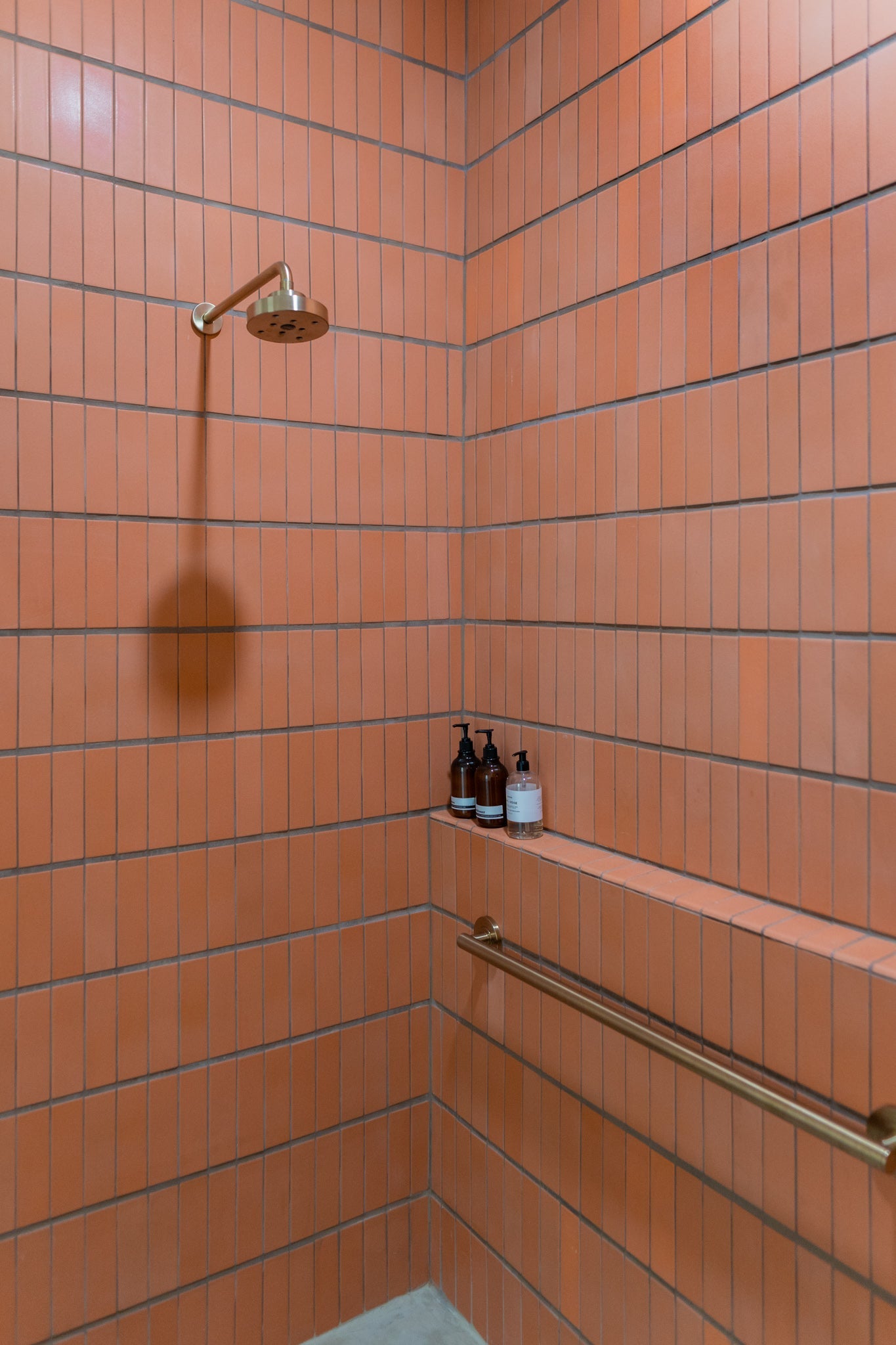 Earthy terracotta-tiled shower with minimalist brass fixtures and elegant bath accessories, showcasing natural modern warmth.