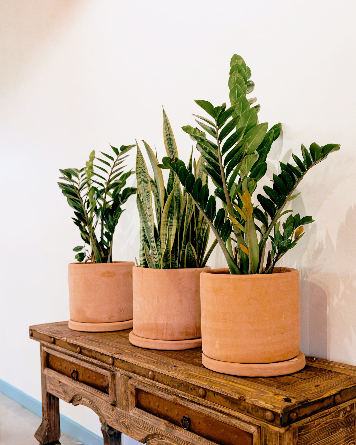 TERRACOTTA PLANTERS