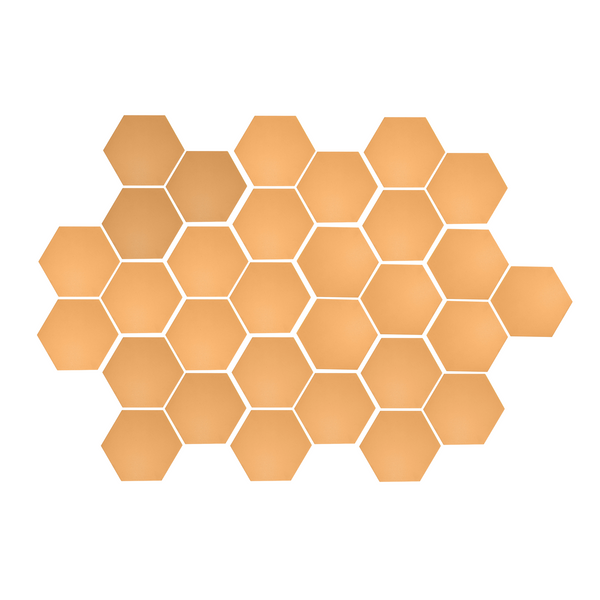 Queso Hexagon Meshed 1"