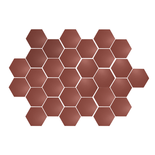 Wild Berry Hexagon Meshed 2"