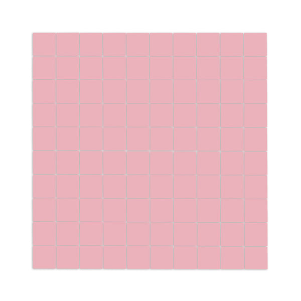 Pink Guava Meshed 1"x1"