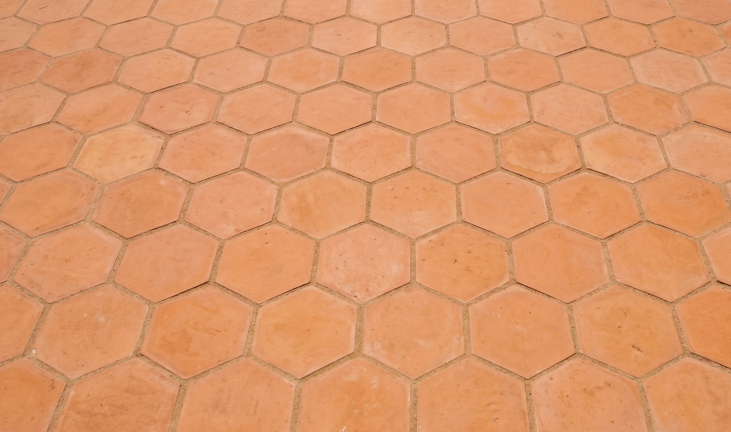Organic Terracotta Hexagon 12