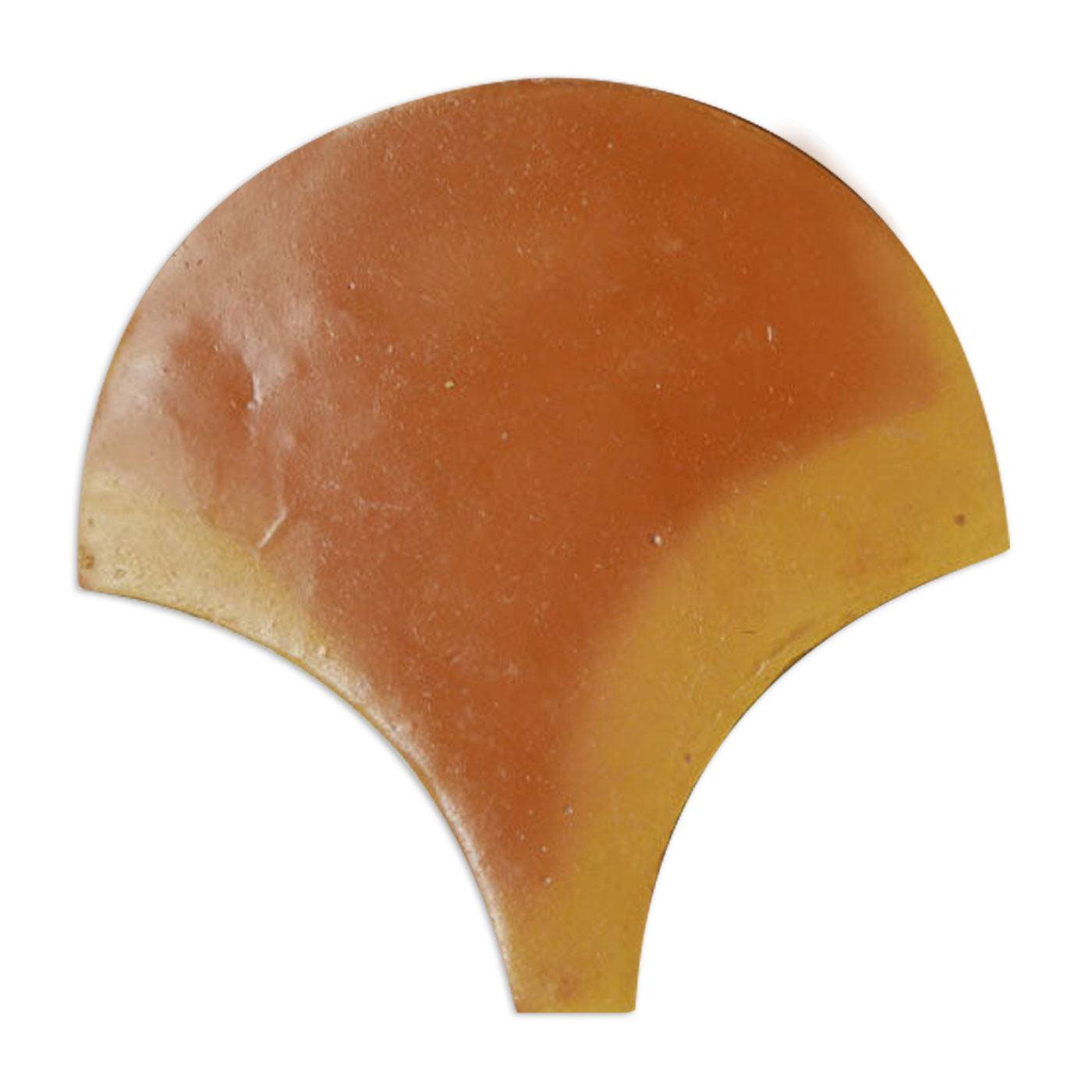 [Sample] Abanico Flat Smooth Gloss 8