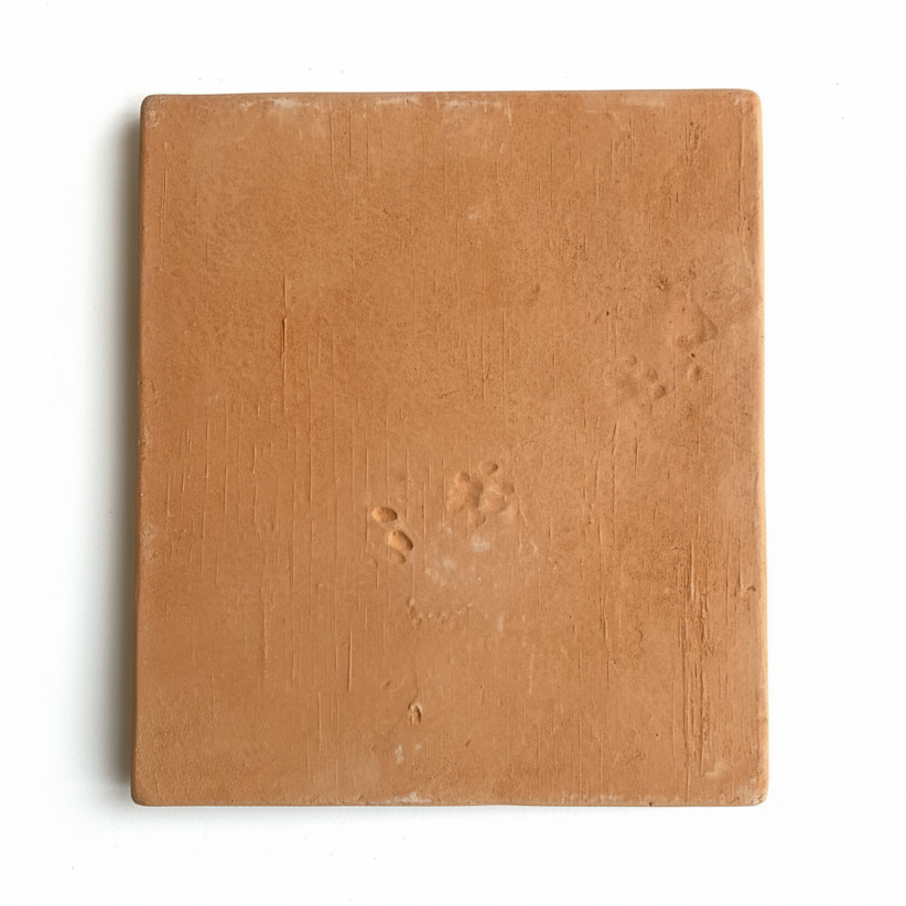 Organic Terracotta 12x12