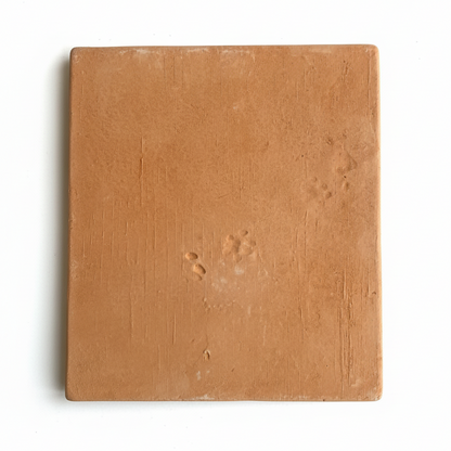 Organic Terracotta 12x12