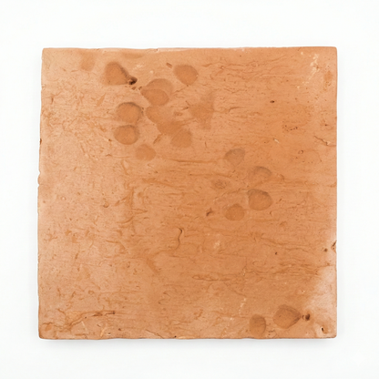 Dog Paw | Chicken Foot Terracotta 12 x 12