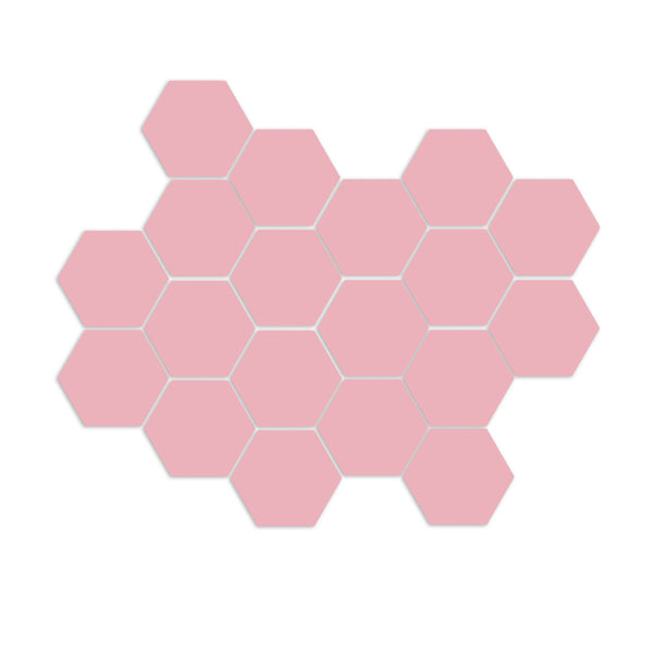Pink Guava Hexagon Meshed 2"