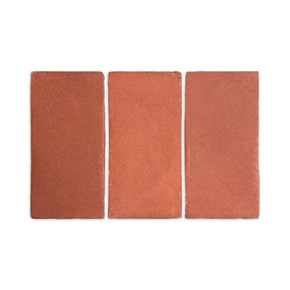 Cotto Tierra Color Sample