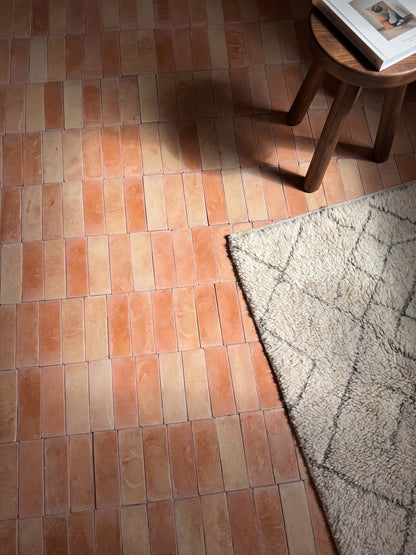 Marisol Matte Terracotta 2x6