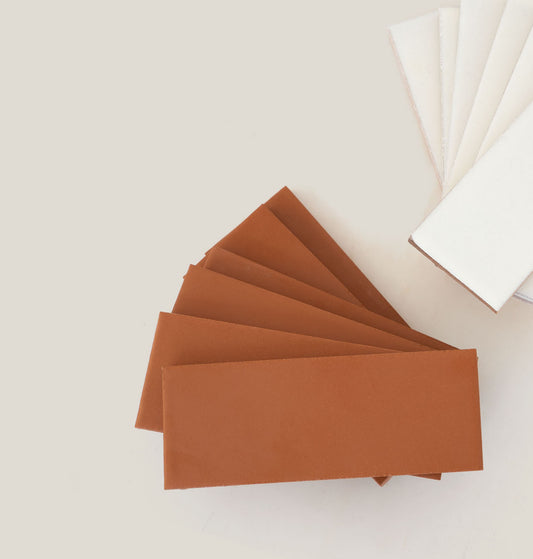 Mamey Pool Waterline 2x6