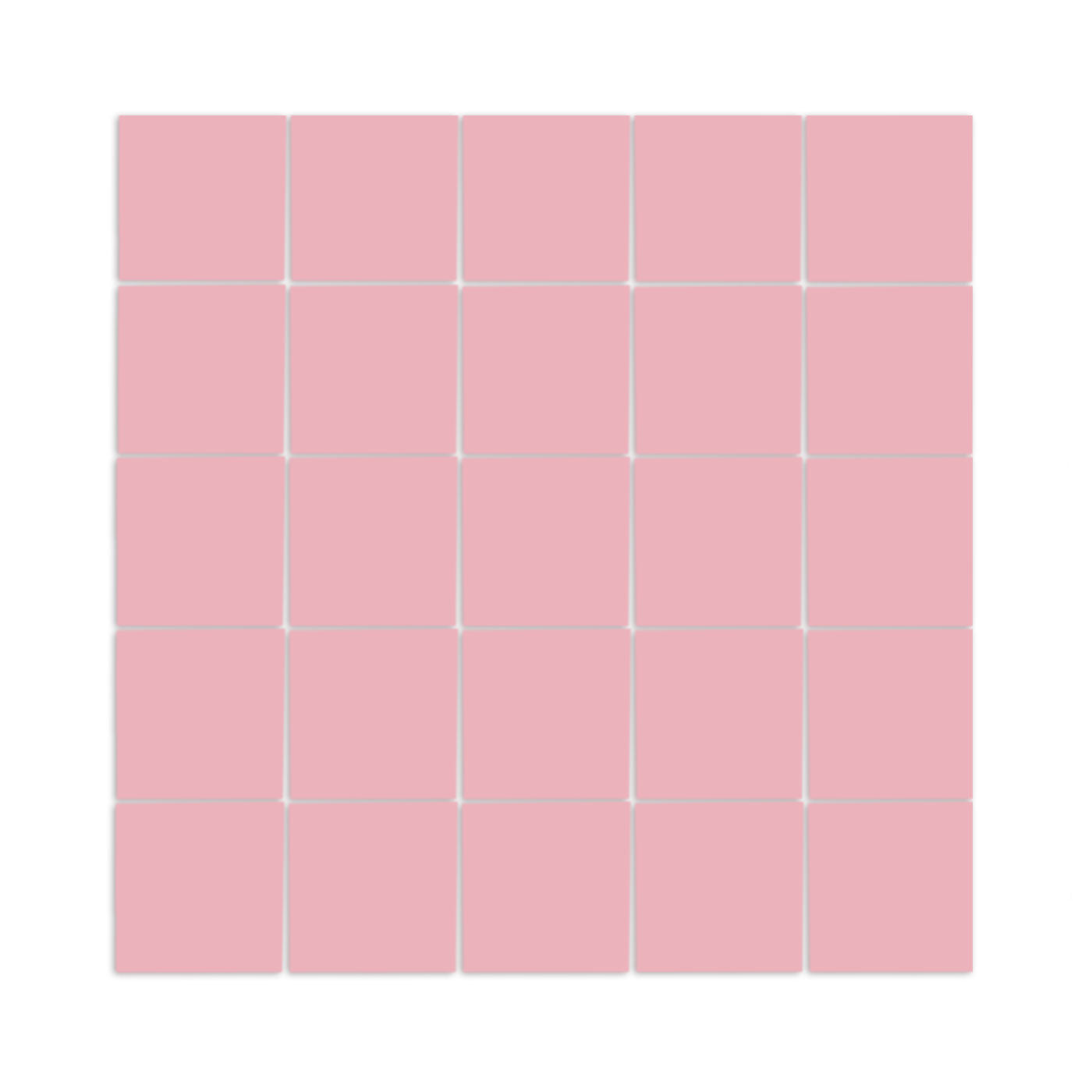 Pink Guava Meshed 2"x2"