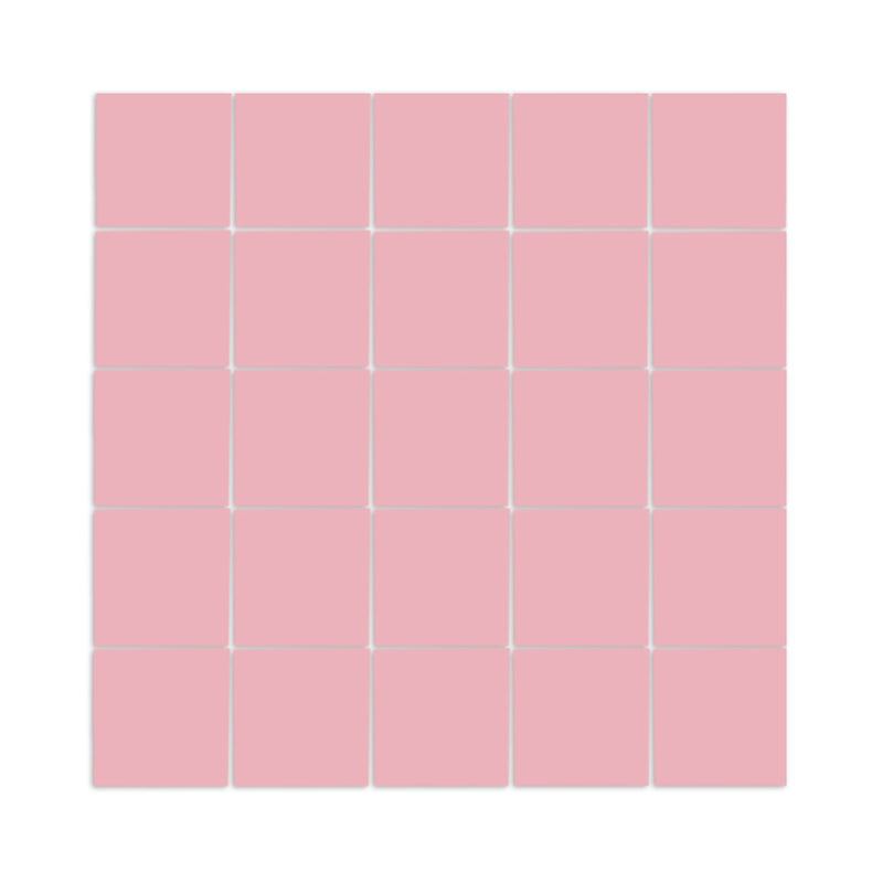 Pink Guava Meshed 2"x2"