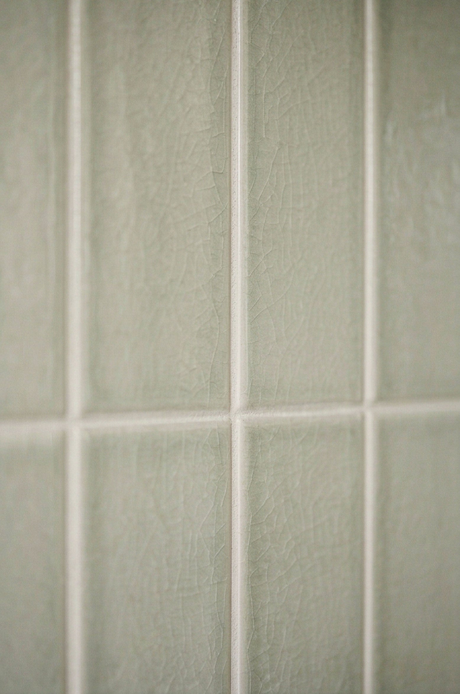 Yucca Crackle Gloss 2