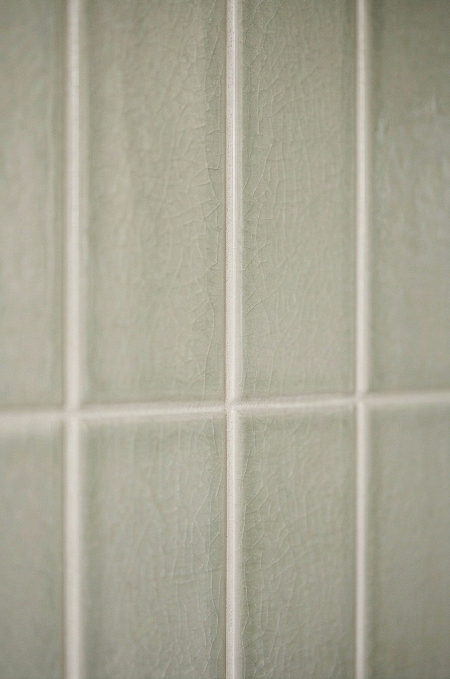 Close-up of sage green crackle gloss rectangular tiles by Clay Imports, featuring white grout and visible texture.