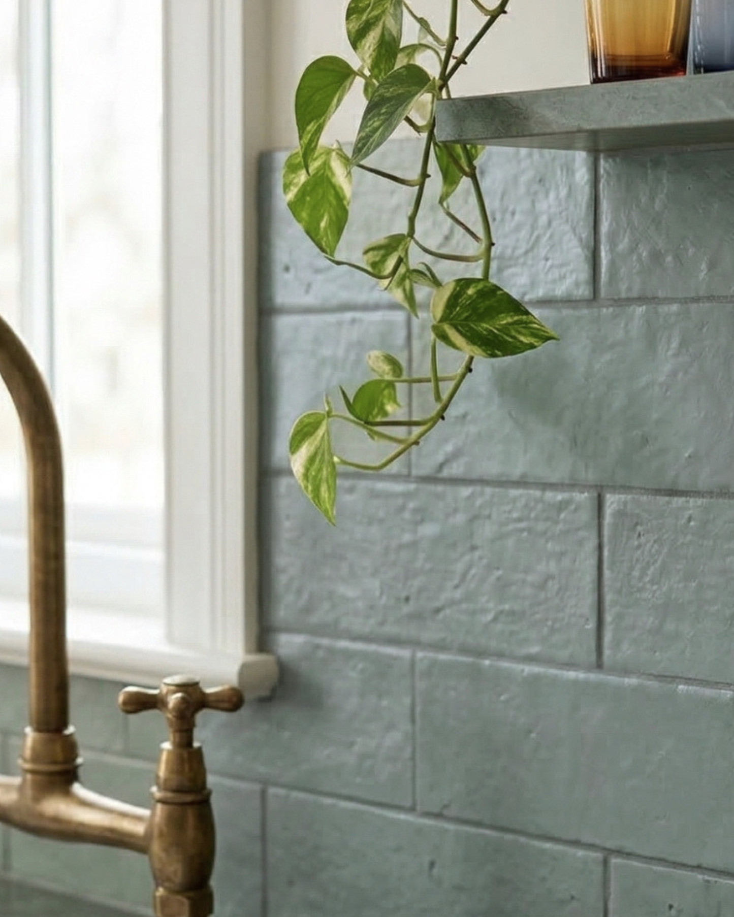 Green glazed thin brick by Clay Imports with a rough, textured finish in a subway pattern, styled with a brass faucet and a hanging plant.