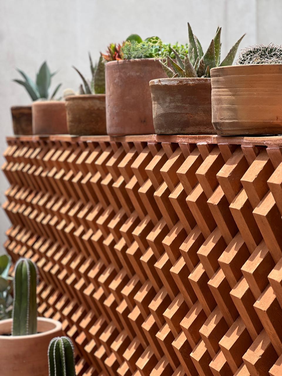 Terracotta wooden lattice planter box filled with various succulents and cacti in matching clay pots, set against a neutral concrete wall.