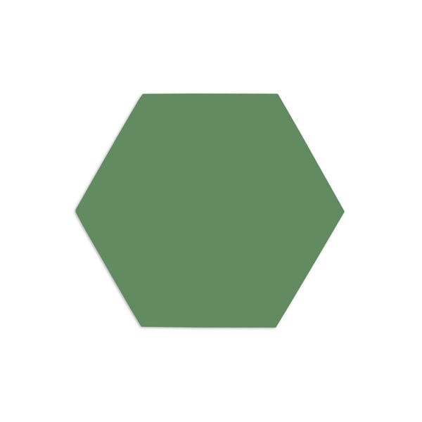 Hexagon Cacti 3"