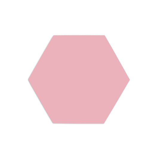 Hexagon Pink Guava 3"