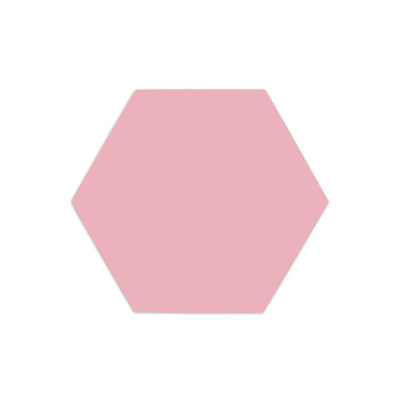 Hexagon Pink Guava 3"