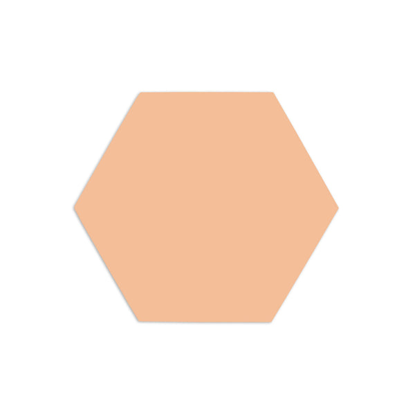 Hexagon Sand Rattler 3"