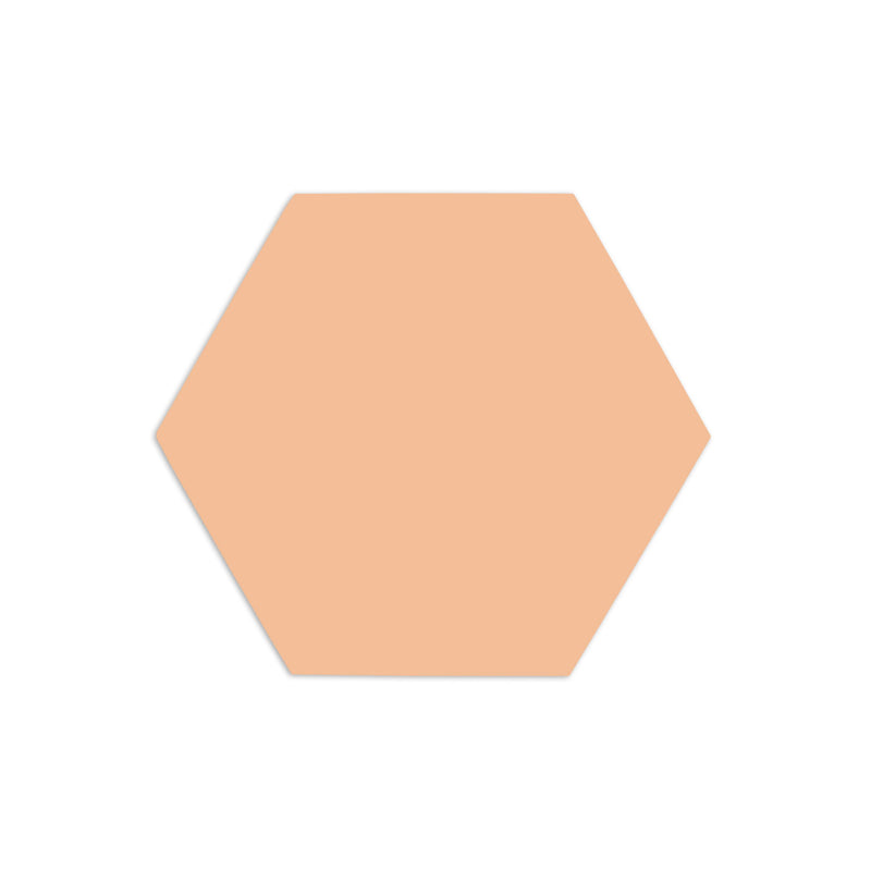 Hexagon Sand Rattler 3"