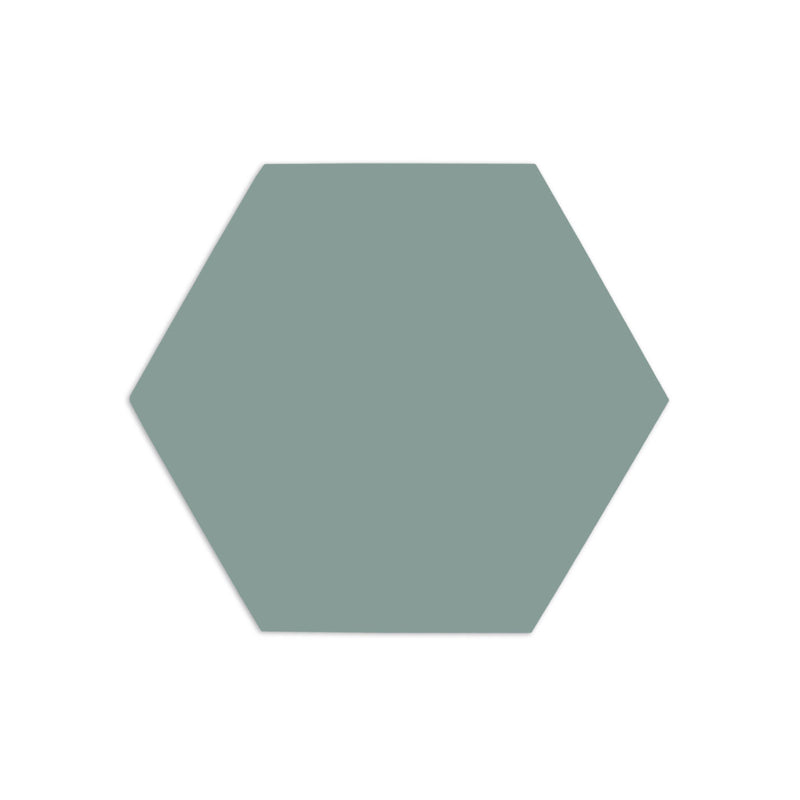 Hexagon Agave 4"